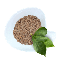 Brown Lentils Lentils Brown