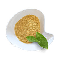 CousCous Couscous
