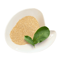 Quinoa Seeds White Quinoa White