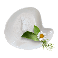 Rice Flour Rice Flour