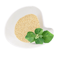 Sesame Seeds Sesame Seeds