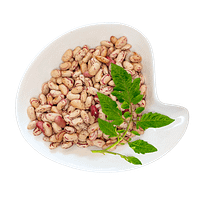 Sugar Beans Sugar Beans