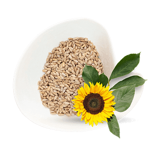 Sunflower seeds Sunflower Seeds Bulk
