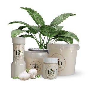 Garlic Powder Packed Garlic Powder