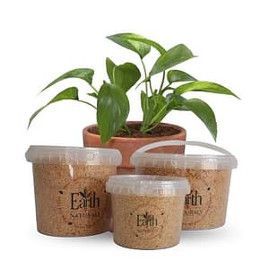 Macadamia Nut Crumbs packed Macadamia Crumbs (Roasted)