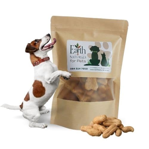 Dog treats PB and whole wheat Packed Pet Treats – Whole Wheat and Veg