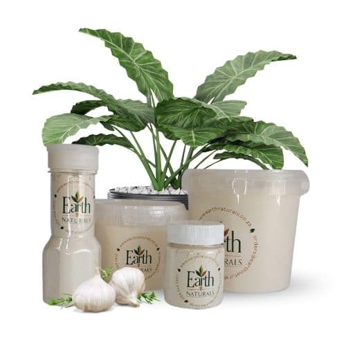 Garlic Powder Packed Garlic Powder