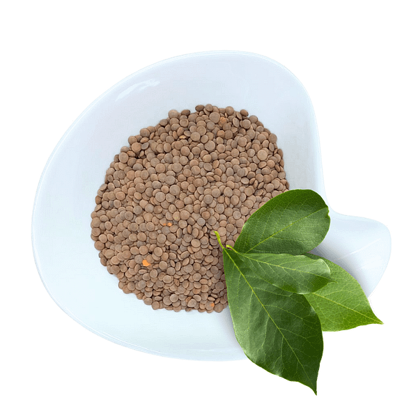 Brown Lentils Lentils Brown