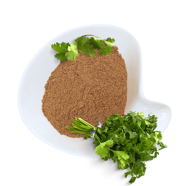Coriander Coriander