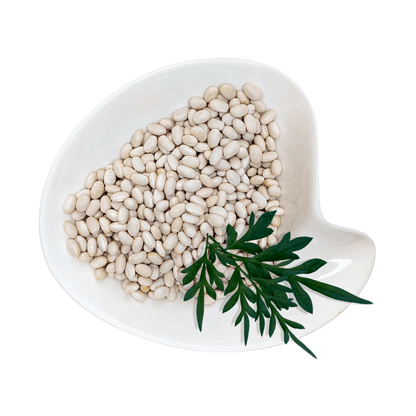Haricot beans Haricot Beans
