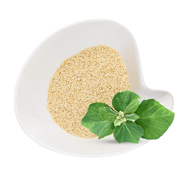 Sesame Seeds Sesame Seeds