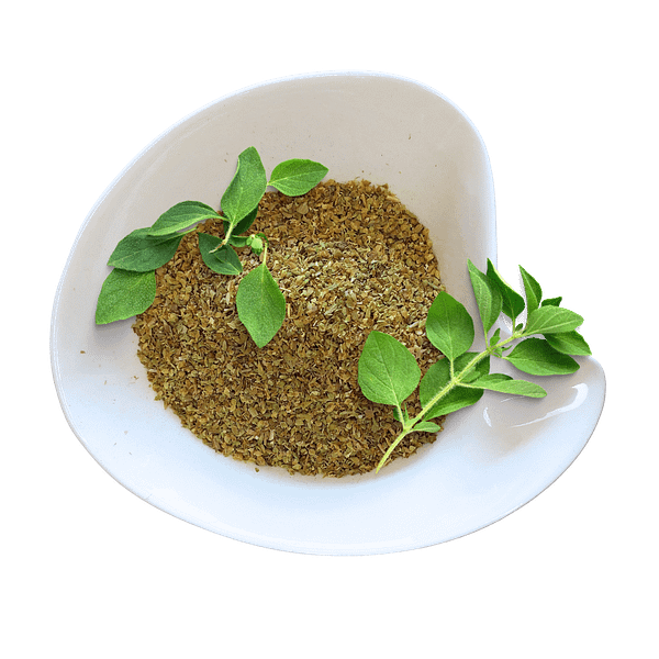oregano Oregano